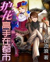 護花高手在都市