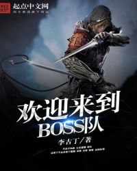 欢迎来到BOSS队