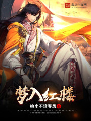 夢入紅樓
