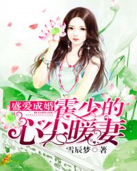 盛愛成婚：霍少的心尖暖妻