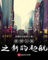 愛情公寓之新的起航