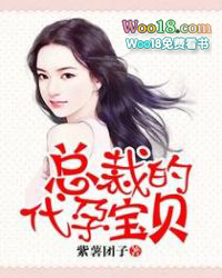 總裁的代孕寶貝