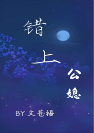 錯上（公媳 古言）