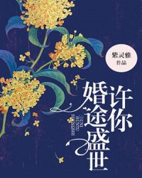 許你婚途盛世