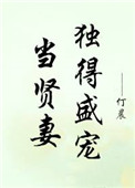 當賢妻獨得盛寵