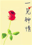 一見鍾情[娛樂圈]