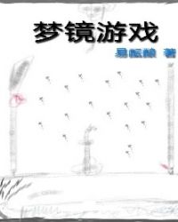 夢鏡遊戲