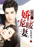 貪歡，嬌寵暖妻