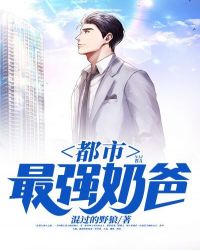 都市最強奶爸