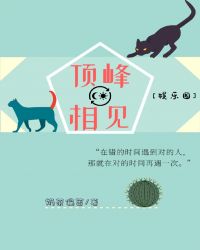 頂峯相見[娛樂圈]