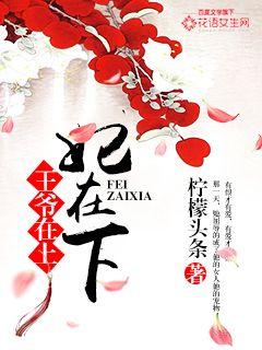 王爺在上妃在下