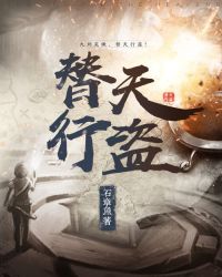 替天行盜