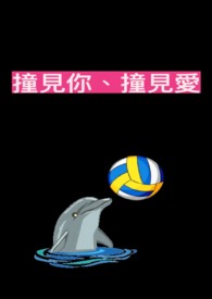 撞見你、撞見愛
