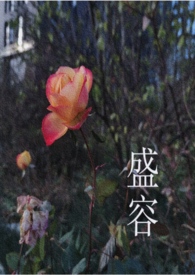 盛容（男強女更強）
