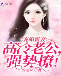 寵婚蜜妻：高冷老公，強勢撩！