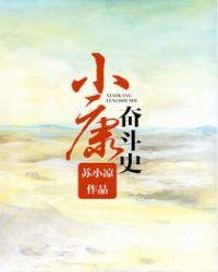 小康奮鬥史