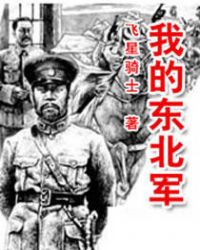 我的東北軍