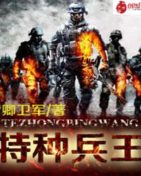 特種兵王